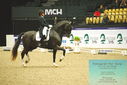 Filename=PT9_3945.JPG
Filesize=471KiB
Dimensions=1224x817
Date added=Oct 23, 2023 PT9_3945.JPG