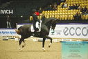 Filename=PT9_3946.JPG
Filesize=473KiB
Dimensions=1224x817
Date added=Oct 23, 2023 PT9_3946.JPG