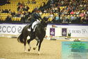 Filename=PT9_3958.JPG
Filesize=516KiB
Dimensions=1224x817
Date added=Oct 23, 2023 PT9_3958.JPG