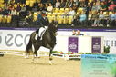 Filename=PT9_3963.JPG
Filesize=505KiB
Dimensions=1224x817
Date added=Oct 23, 2023 PT9_3963.JPG