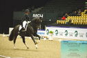 Filename=PT9_3965.JPG
Filesize=439KiB
Dimensions=1224x817
Date added=Oct 23, 2023 PT9_3965.JPG