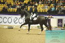 Filename=PT9_3967.JPG
Filesize=493KiB
Dimensions=1224x817
Date added=Oct 23, 2023 PT9_3967.JPG