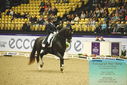 Filename=PT9_3971.JPG
Filesize=537KiB
Dimensions=1224x817
Date added=Oct 23, 2023 PT9_3971.JPG