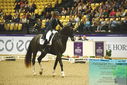 Filename=PT9_3974.JPG
Filesize=510KiB
Dimensions=1224x817
Date added=Oct 23, 2023 PT9_3974.JPG