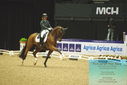 Filename=PT9_3976.JPG
Filesize=407KiB
Dimensions=1224x817
Date added=Oct 23, 2023 PT9_3976.JPG