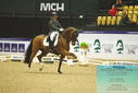 Filename=PT9_3977.JPG
Filesize=444KiB
Dimensions=1224x817
Date added=Oct 23, 2023 PT9_3977.JPG