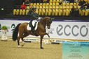 Filename=PT9_3978.JPG
Filesize=438KiB
Dimensions=1224x817
Date added=Oct 23, 2023 PT9_3978.JPG
