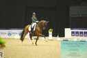 Filename=PT9_3983.JPG
Filesize=407KiB
Dimensions=1224x817
Date added=Oct 23, 2023 PT9_3983.JPG