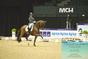 Filename=PT9_3984.JPG
Filesize=429KiB
Dimensions=1224x817
Date added=Oct 23, 2023 PT9_3984.JPG