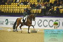 Filename=PT9_3987.JPG
Filesize=453KiB
Dimensions=1224x817
Date added=Oct 23, 2023 PT9_3987.JPG