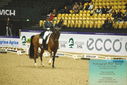 Filename=PT9_3994.JPG
Filesize=482KiB
Dimensions=1224x817
Date added=Oct 23, 2023 PT9_3994.JPG