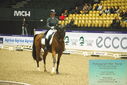 Filename=PT9_3995.JPG
Filesize=479KiB
Dimensions=1224x817
Date added=Oct 23, 2023 PT9_3995.JPG