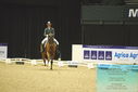 Filename=PT9_3996.JPG
Filesize=380KiB
Dimensions=1224x817
Date added=Oct 23, 2023 PT9_3996.JPG