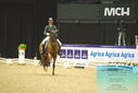 Filename=PT9_3997.JPG
Filesize=426KiB
Dimensions=1224x817
Date added=Oct 23, 2023 PT9_3997.JPG