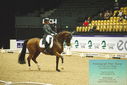 Filename=PT9_4004.JPG
Filesize=467KiB
Dimensions=1224x817
Date added=Oct 23, 2023 PT9_4004.JPG