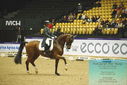 Filename=PT9_4005.JPG
Filesize=482KiB
Dimensions=1224x817
Date added=Oct 23, 2023 PT9_4005.JPG