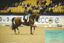 Filename=PT9_4007.JPG
Filesize=511KiB
Dimensions=1224x817
Date added=Oct 23, 2023 PT9_4007.JPG