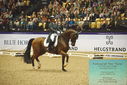 Filename=PT9_4009.JPG
Filesize=535KiB
Dimensions=1224x817
Date added=Oct 23, 2023 PT9_4009.JPG