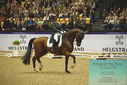 Filename=PT9_4010.JPG
Filesize=510KiB
Dimensions=1224x817
Date added=Oct 23, 2023 PT9_4010.JPG
