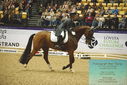 Filename=PT9_4015.JPG
Filesize=519KiB
Dimensions=1224x817
Date added=Oct 23, 2023 PT9_4015.JPG