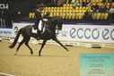 PT9_4019.JPG