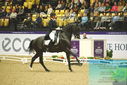 Filename=PT9_4032.JPG
Filesize=492KiB
Dimensions=1224x817
Date added=Oct 23, 2023 PT9_4032.JPG