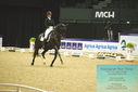Filename=PT9_4034.JPG
Filesize=445KiB
Dimensions=1224x817
Date added=Oct 23, 2023 PT9_4034.JPG