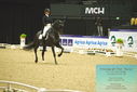 Filename=PT9_4035.JPG
Filesize=449KiB
Dimensions=1224x817
Date added=Oct 23, 2023 PT9_4035.JPG