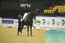 Filename=PT9_4036.JPG
Filesize=435KiB
Dimensions=1224x817
Date added=Oct 23, 2023 PT9_4036.JPG