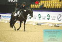 Filename=PT9_4037.JPG
Filesize=470KiB
Dimensions=1224x817
Date added=Oct 23, 2023 PT9_4037.JPG