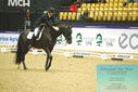 Filename=PT9_4038.JPG
Filesize=474KiB
Dimensions=1224x817
Date added=Oct 23, 2023 PT9_4038.JPG