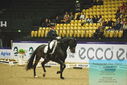 Filename=PT9_4064.JPG
Filesize=461KiB
Dimensions=1224x817
Date added=Oct 23, 2023 PT9_4064.JPG