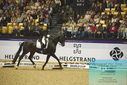 Filename=PT9_4067.JPG
Filesize=508KiB
Dimensions=1224x817
Date added=Oct 23, 2023 PT9_4067.JPG