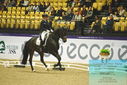 Filename=PT9_4071.JPG
Filesize=461KiB
Dimensions=1224x817
Date added=Oct 23, 2023 PT9_4071.JPG
