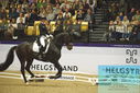 Filename=PT9_4072.JPG
Filesize=443KiB
Dimensions=1224x817
Date added=Oct 23, 2023 PT9_4072.JPG