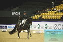 Filename=PT9_4076.JPG
Filesize=442KiB
Dimensions=1224x817
Date added=Oct 23, 2023 PT9_4076.JPG