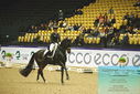 Filename=PT9_4077.JPG
Filesize=506KiB
Dimensions=1224x817
Date added=Oct 23, 2023 PT9_4077.JPG