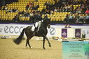 Filename=PT9_4078.JPG
Filesize=544KiB
Dimensions=1224x817
Date added=Oct 23, 2023 PT9_4078.JPG