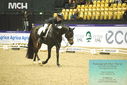 Filename=PT9_4081.JPG
Filesize=485KiB
Dimensions=1224x817
Date added=Oct 23, 2023 PT9_4081.JPG