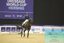 Filename=PT9_4126.JPG
Filesize=448KiB
Dimensions=1224x817
Date added=Oct 23, 2023 PT9_4126.JPG