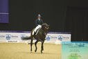 Filename=PT9_4129.JPG
Filesize=388KiB
Dimensions=1224x817
Date added=Oct 23, 2023 PT9_4129.JPG