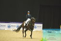 Filename=PT9_4131.JPG
Filesize=396KiB
Dimensions=1224x817
Date added=Oct 23, 2023 PT9_4131.JPG