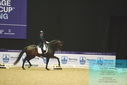 Filename=PT9_4135.JPG
Filesize=378KiB
Dimensions=1224x817
Date added=Oct 23, 2023 PT9_4135.JPG