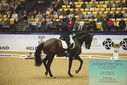 Filename=PT9_4145.JPG
Filesize=541KiB
Dimensions=1224x817
Date added=Oct 23, 2023 PT9_4145.JPG