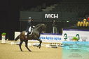 Filename=PT9_4154.JPG
Filesize=431KiB
Dimensions=1224x817
Date added=Oct 23, 2023 PT9_4154.JPG