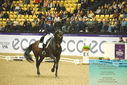 Filename=PT9_4158.JPG
Filesize=541KiB
Dimensions=1224x817
Date added=Oct 23, 2023 PT9_4158.JPG