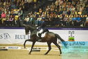 Filename=PT9_4161.JPG
Filesize=489KiB
Dimensions=1224x817
Date added=Oct 23, 2023 PT9_4161.JPG