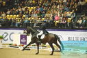 Filename=PT9_4162.JPG
Filesize=524KiB
Dimensions=1224x817
Date added=Oct 23, 2023 PT9_4162.JPG