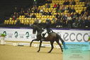 Filename=PT9_4164.JPG
Filesize=414KiB
Dimensions=1224x817
Date added=Oct 23, 2023 PT9_4164.JPG