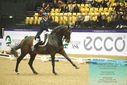 Filename=PT9_4165.JPG
Filesize=484KiB
Dimensions=1224x817
Date added=Oct 23, 2023 PT9_4165.JPG
